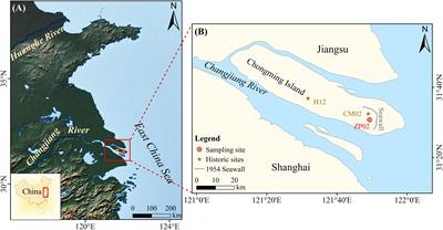 Typhoon and flooding occurrences on Chongming Island, Changjiang Estuary, as revealed by a newly acquired sedimentary record